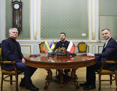 Miniatura: Spotkanie trzech prezydentów we Lwowie....