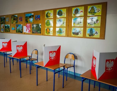 Miniatura: Wybory 2020. Lokale wyborcze – jak znaleźć...