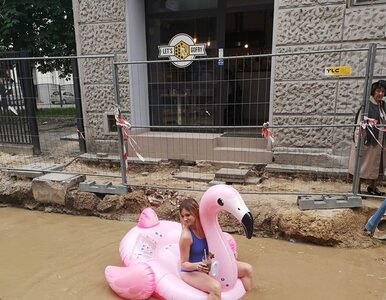 Miniatura: Łodzianka pływała na flamingu po zalanej...