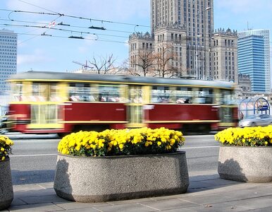 Miniatura: Warszawa: Utrudnienia w ruchu tramwajowym....