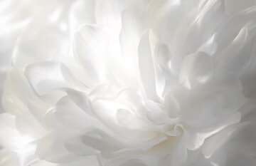 Kolor roku Pantone 2026 ogłoszony. To&nbsp;Cloud Dancer