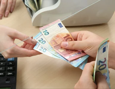 Miniatura: Rośnie grupa przeciwników euro w Polsce....