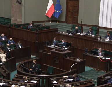 Miniatura: Sejm odrzucił weto Senatu. Dodatki...