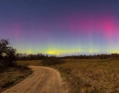 Miniatura: Niesamowita noc. Zorza polarna nad Polską...