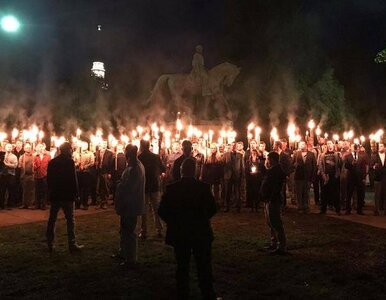 Miniatura: Internauci na własną rękę identyfikują...