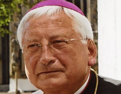 Miniatura: Papież przyjął dymisję biskupa Augsburga