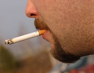Miniatura: Koncern tytoniowy idzie na wojnę z Norwegią