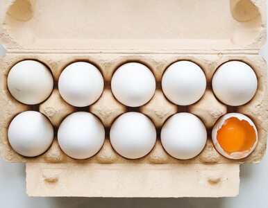 Jeść jajka na śniadanie czy nie? Dietetycy rozstrzygnęli w końcu problem