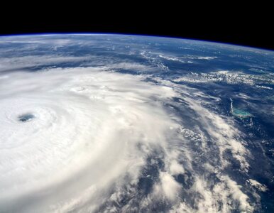 Miniatura: Irma zbliża się do Florydy, eksperci...