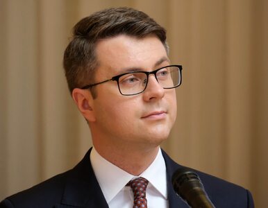 Miniatura: Nowe deklaracje polskiego rządu po debacie...