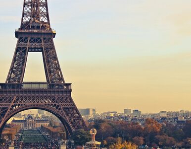 Miniatura: Francuzi ogrodzą wieżę Eiffla z obawy...