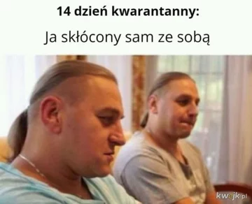 Memy z braćmi Golec 