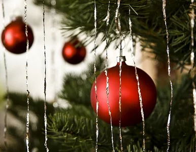 Miniatura: Wigilia w Radomiu znika z sieci