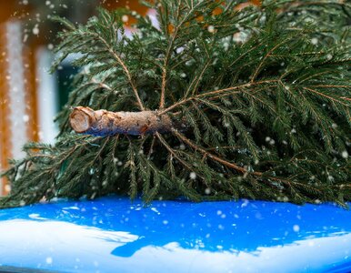 Miniatura: Kierowcy dostaną prezent pod choinkę?...