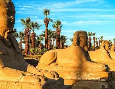 Miniatura: Tanie wakacje w Egipcie. Tydzień wycieczki...