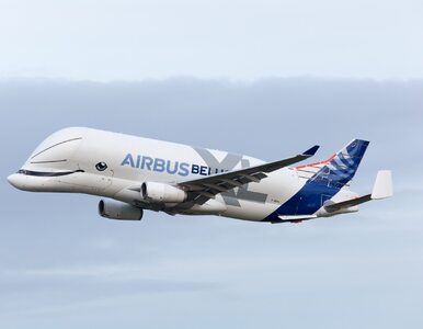 Miniatura: Airbus zakłada własną linię lotniczą....