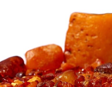 Miniatura: Tylko w Polsce: mistrzostwa świata w...