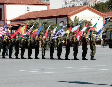 Miniatura: Wspólna europejska armia? Wyborcy PiS...