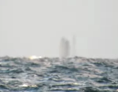 Miniatura: Gigantyczna figura chodząca po wodzie?...