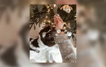 Uroczy pupil Kasi Tusk 