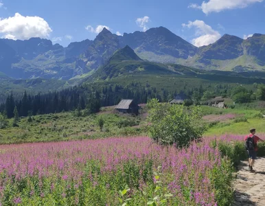 Miniatura: Tłumy turystów lada dzień zaleją Tatry....