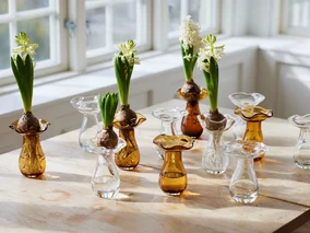 Miniatura: Ich zapach czuć w całym mieszkaniu....