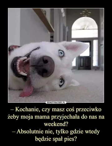 Mem z okazji Dnia Teściowej 