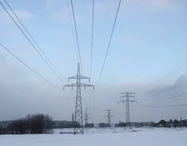 Miniatura: Czy Polsce grozi blackout? Wszystkie bóle...