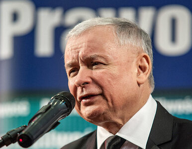 Miniatura: Kaczyński: PiS powinien mieć nawet 58...