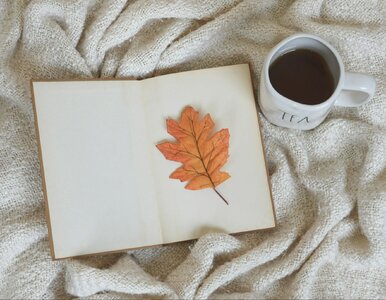 Miniatura: Quiz ortograficzny na start jesieni....