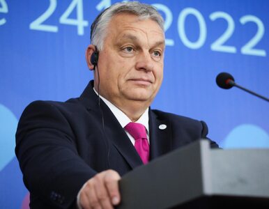 Węgry adwokatem Putina w Europie? Orban jako jedyny miał zgłosić weto