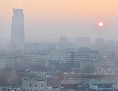 Miniatura: Tak dokładnego badania jeszcze nie było....