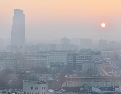 Miniatura: Tak dokładnego badania jeszcze nie było....