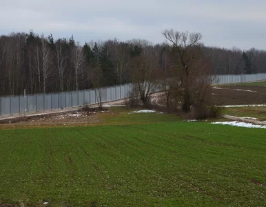 Miniatura: Nowy raport z granicy. Zatrzymani migranci...