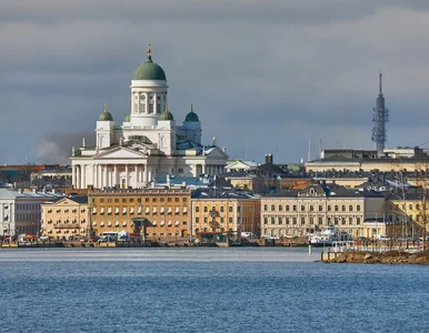 Miniatura: Fińskie strony rządowe zhakowane przed...