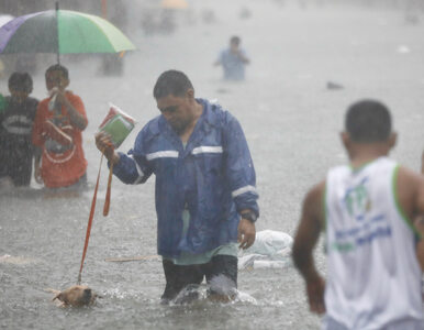 Miniatura: Tajfun Gaemi zabił 25 osób, ponad 380 osób...