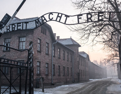 Miniatura: Muzeum Auschwitz: W materiale TVP...