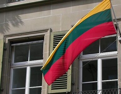 Miniatura: Litwa obchodzi Dzień Obrońców Wolności