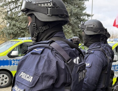 Miniatura: Dantejskie sceny w Toruniu. Awantura...