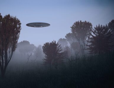 Miniatura: Raporty na temat UFO ujrzą światło...