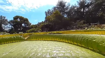 Ogród botaniczny przy Villa Las Cedres 