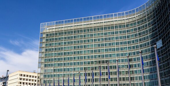 Miniatura: Komisja Europejska