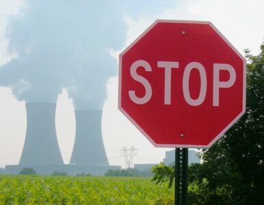 Miniatura: Niemcy boją się elektrowni atomowej w...