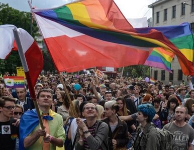 Miniatura: Gdańsk: Przepychanki podczas Marszu Równości