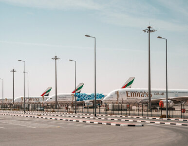 Miniatura: Polacy wracają z Dubaju. „Byliśmy tylko z...