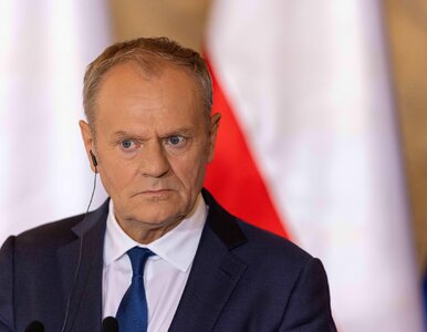 Miniatura: Spór w studiu ws. słów Tuska. Bogucki:...