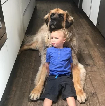 Lamont i jego przyjaciele 