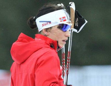 Miniatura: Marit Bjoergen wycofała się z Tour de Ski....