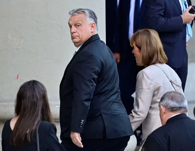 Miniatura: Jak Zełenski przyparł do ściany Orbana....