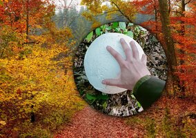 Miniatura: Niezwykłe znalezisko w&nbsp;polskim lesie....